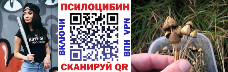 Псилоцибиновые грибы Cubensis  Медвежьегорск 